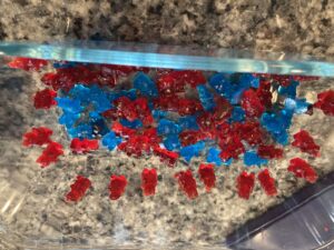 Red and Blue Gummy Bears