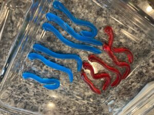 Red and Blue Gummy Worms